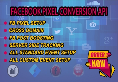 I'll set-up Facebook Pixel & Conversion API with server side tracking