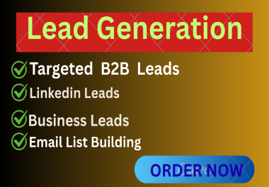 I will provide B2B lead generation and build a targeted email prospect list for your business.