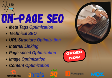 I Will do On page SEO to Rank your website
