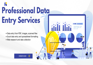 Professional Data Entry Services Accurate,  Fast & Reliable