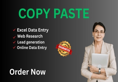 Data entry,  copy paste and excel data entry work for you