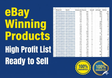 I will Find 10 High Profit eBay Dropshipping Winning Products