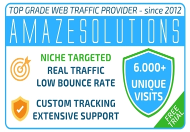 I will bring USA organic web traffic