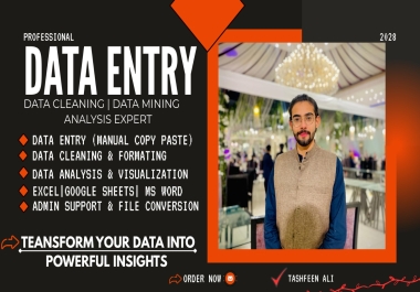 Professional Data Entry,  Copy Paste,  Excel & Web Research Service