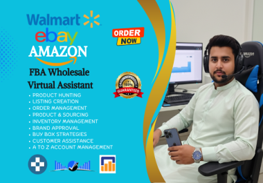 I will be your walmart wfs or ebay ds virtual assistant
