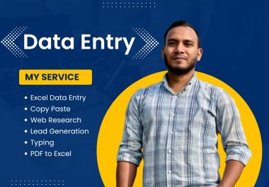 i will do data entry,  copy paste,  web research and collect public records in excel