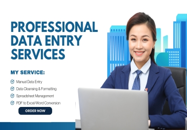 I will do fast Excel data entry and PDF to Excel conversion