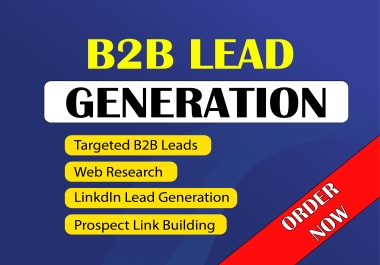 I will Provide B2B lead generation and verified web research