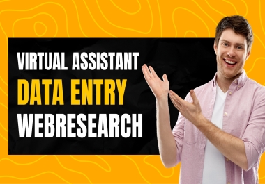 I will do professional data entry,  web research,  and excel data management