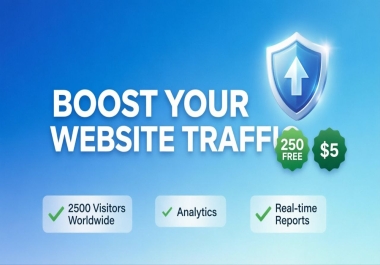 I will drive 2500 real organic website traffic worldwide