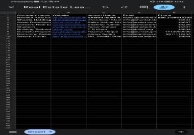 I will do professional data entry and lead generation work