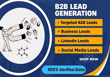 I am a B2B Targeted lead generation,  Email list building Expert with