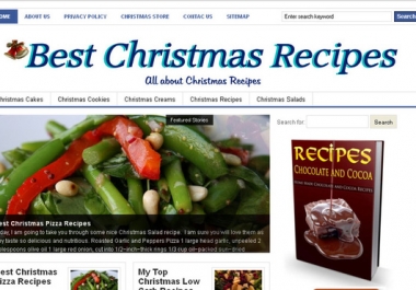 make you a 5 page profitable adsense niche website