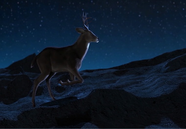 Amazing Deer Jump Intro Video