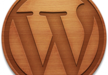 I will solve your Wordpress blogs css, html and other wordpress issues