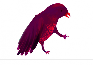 draw an illustration