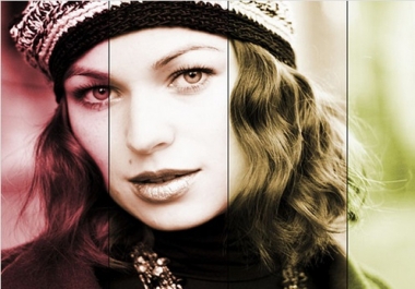 Install Incredible Premium SEO Pack plugin to wordpress