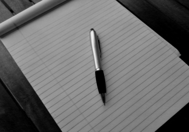 500 word blog post within 24 hours