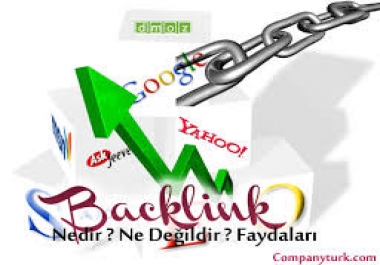We are building a 100-bak Link pagerank 3 Dufflo certified Google manually