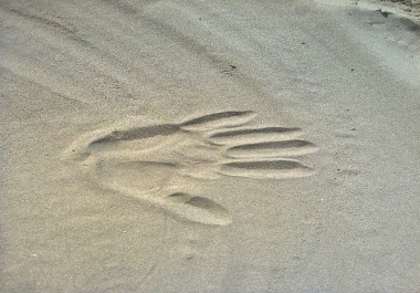 write a positive review about your business