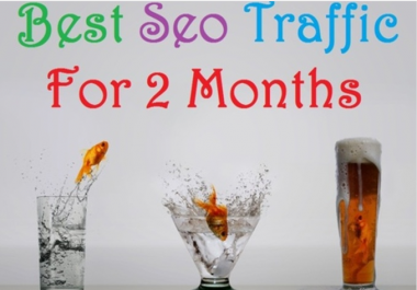 deliver 2 months of Guaranteed Search Traffic