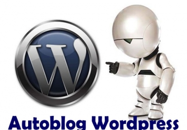 I will make A Good SEOed Autoblog Workpress In Any Niche