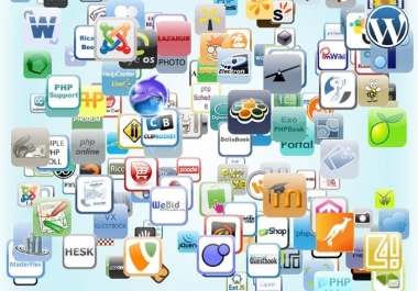 I will install any type of php script