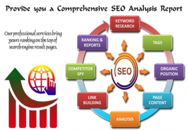 SEO Evaluation Report of your website,  24 Hour Delivery for 10