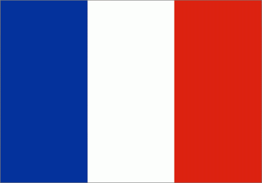 6500 Unique France Website traffic visitors