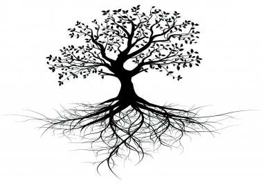 i will give you old black vector tree with root design
