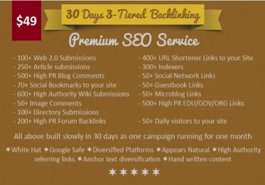 Premium Seo Service For 30 days. Guarantee Top in Google