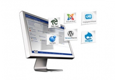 Create professional website for you