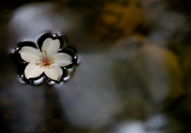 Need help doing your research,  proofreading,  writing and editing arcticles,  I am at your service