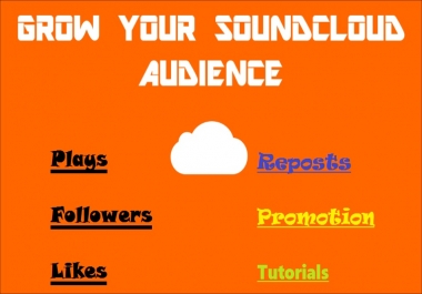 I will give you High Quality Music Promotion