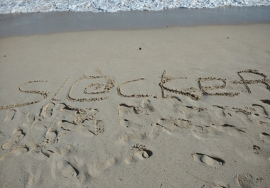 Web Designer Profesional