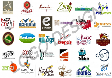 Logo Professional Design