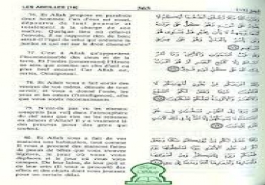 translate word or texte three language frensh-english-arabic