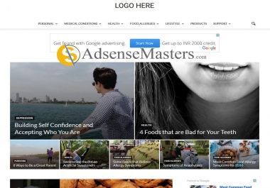 Professional Niches Development - Wordpress - On Page SEO
