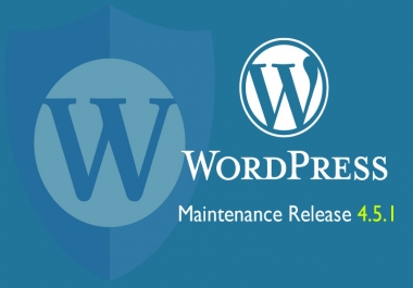 Professional upgrade your Worpdpress or your plugins or themes