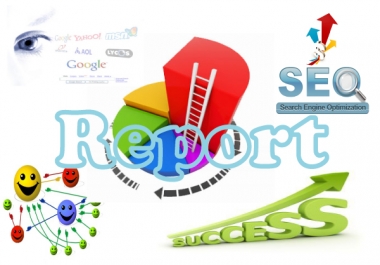 I will creat a full Seo report for your website with any Keyword