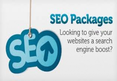 A Complete SEO Package in 24hrs,  just provide Website Url