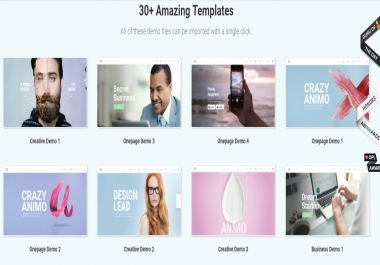 Create Premium WordPress Website
