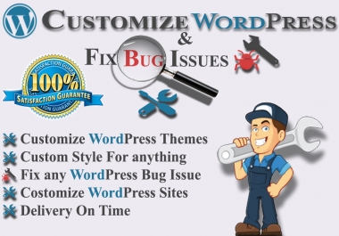 Install and customize WordPress theme and fixes bug issues