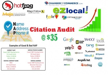 Citation Audit and Cleanup