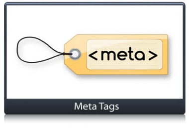 I Write Meta Tags for Your Website