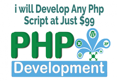 Develop Any Custom Php Website For You