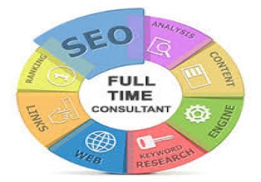 Search Engine Optimization Consultation