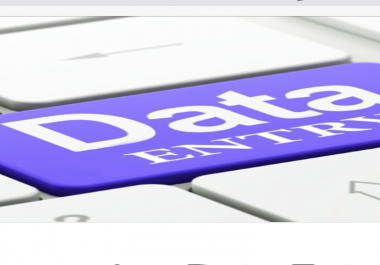 EXPERT DATA ENTRY & & & & & ACCOUNTING