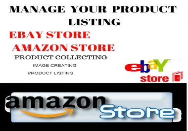 data entry on your eCommerce store ebay, amazon and shopify