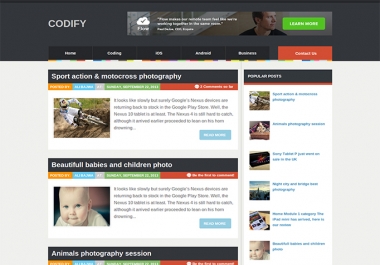 I will design an awesome Blogger website